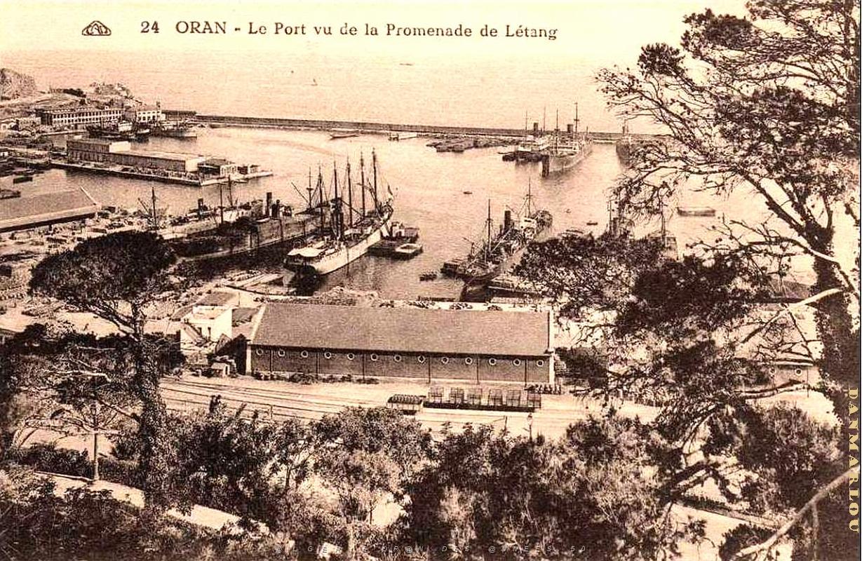 PO e- 428.jpg